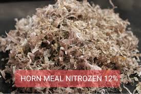 Horn Meal